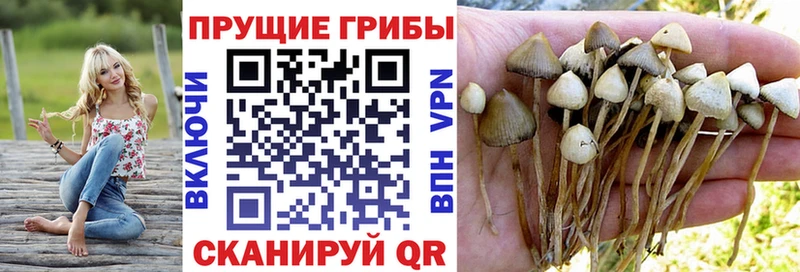 Псилоцибиновые грибы ЛСД  Кириши 